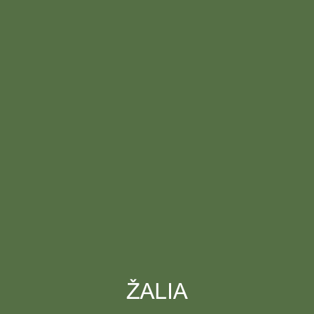 PREMIUM VILLA LATEX - Žalia